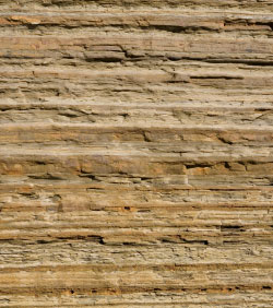 Picture of striation